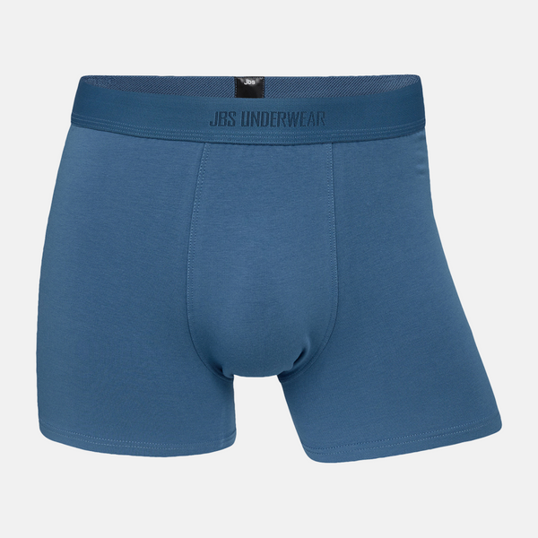 5 Paar Bambus-Unterhosen blau/grau mix