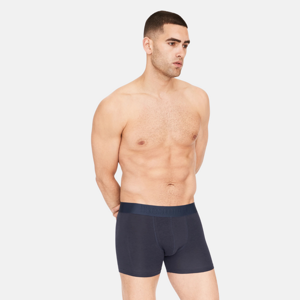 3 Paar grau/grün/blaue Bambus-Unterhosen